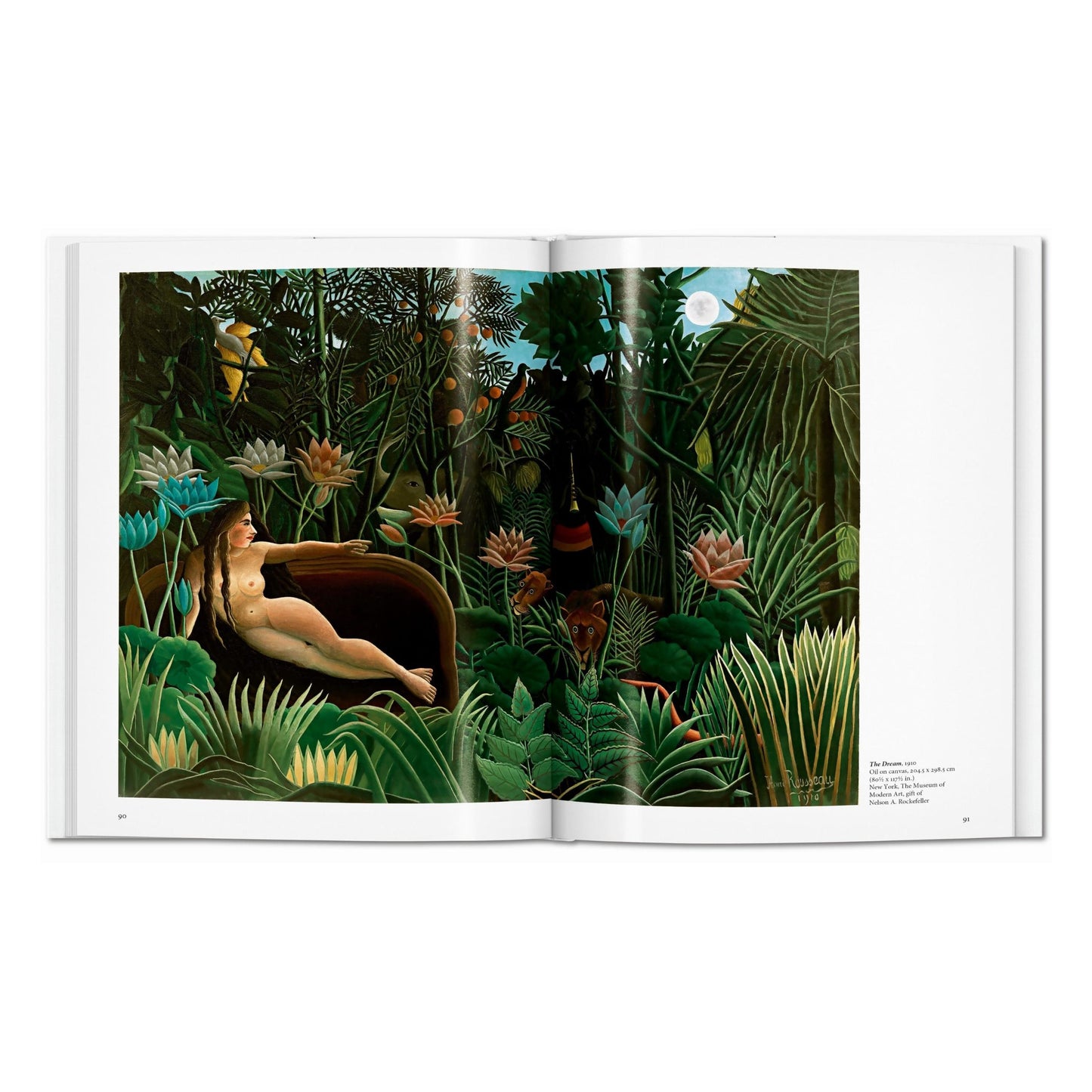Rousseau (English) Book