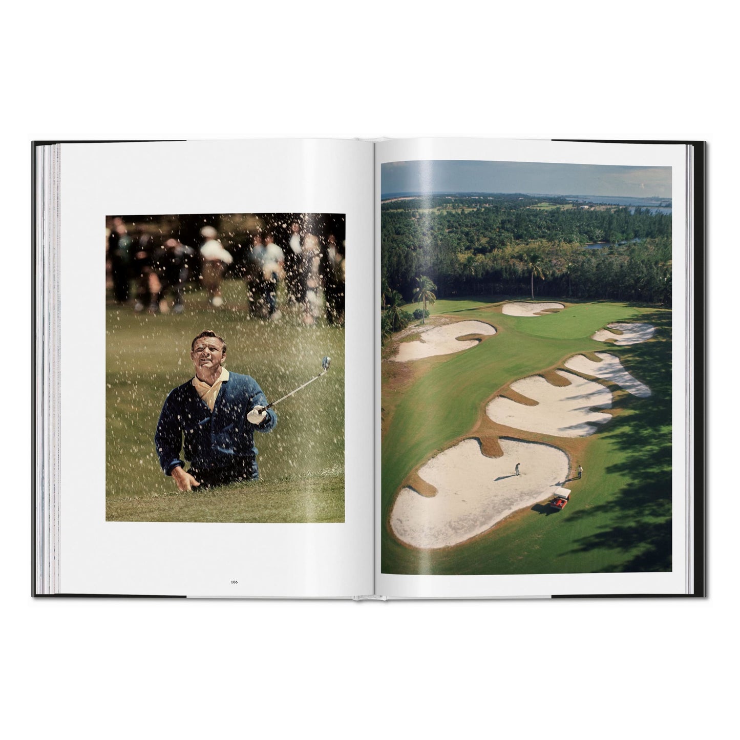 Marvin E. Newman. Photographs 1949–1983 (English) Book