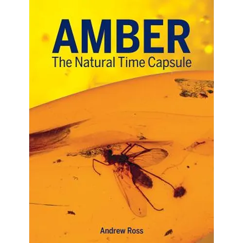 Amber: The Natural Time Capsule