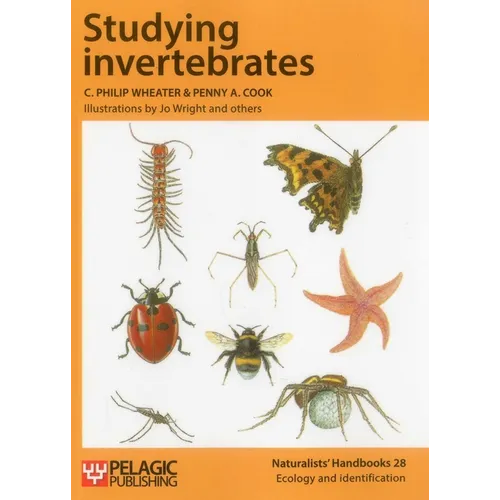 Studying Invertebrates