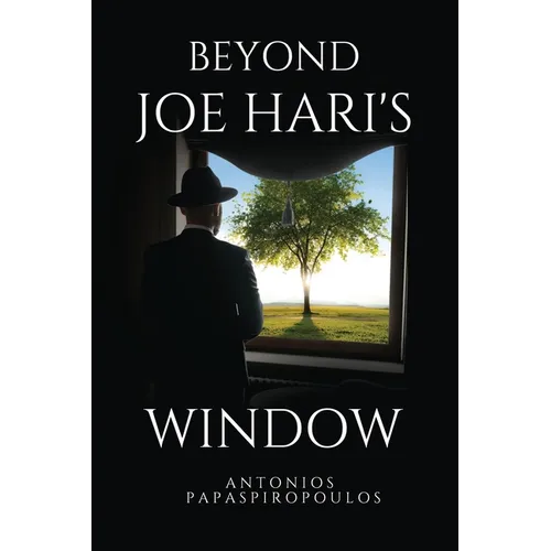 Beyond Joe Hari's Window