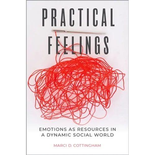 Practical Feelings: Emotions as Resources in a Dynamic Social World