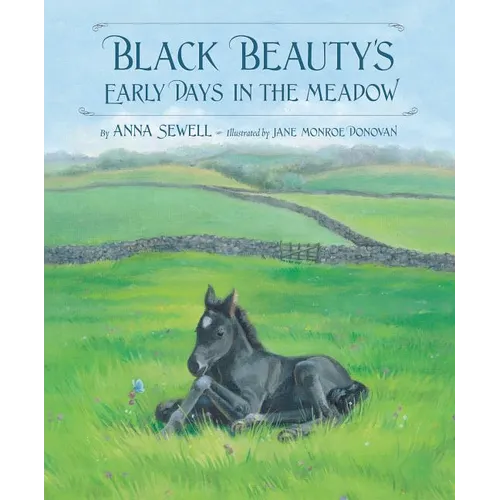 Black Beauty's Early Days in the Meadow