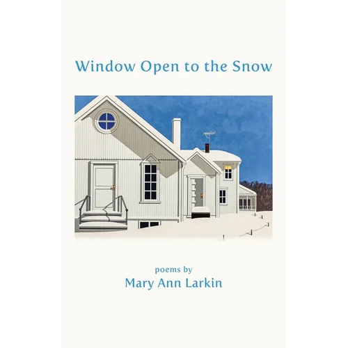 Window Open to the Snow