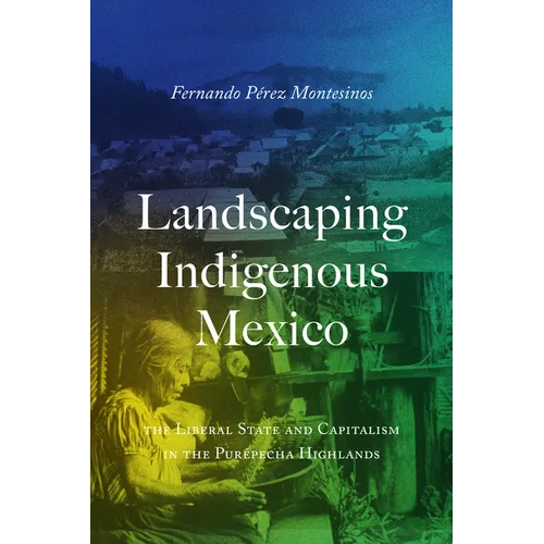 Landscaping Indigenous Mexico: The Liberal State and Capitalism in the Purépecha Highlands