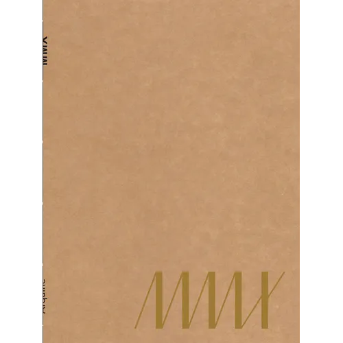 MMX: Architecture and Territory