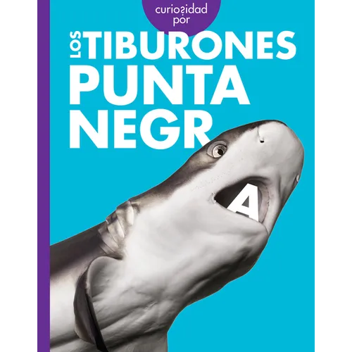 Curiosidad Por Los Tiburones Punta Negra