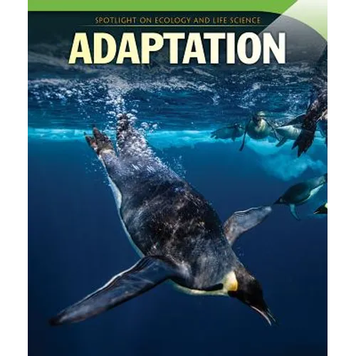 Adaptation