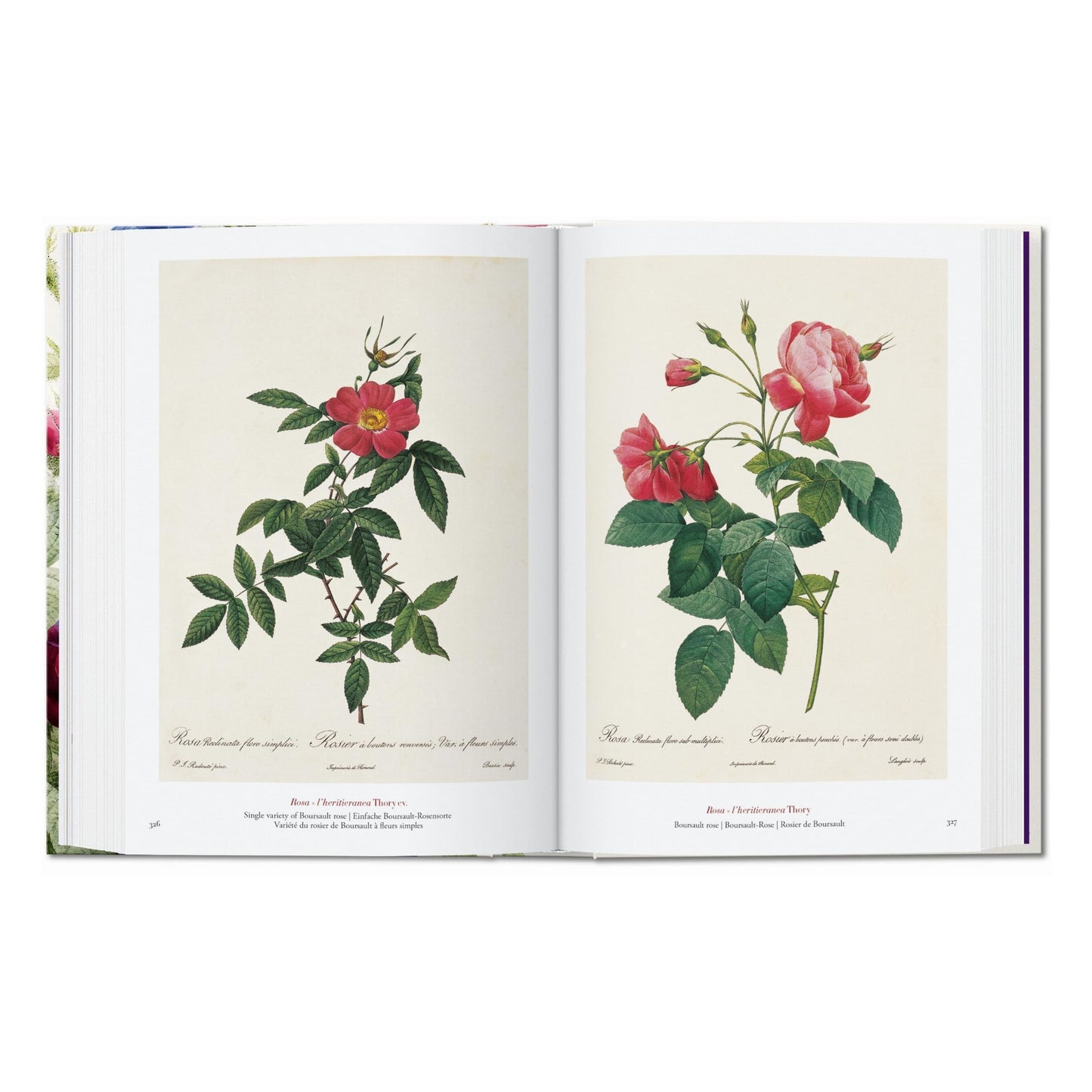 Redouté. The Book of Flowers. 45th Ed. (German, French, English) Book