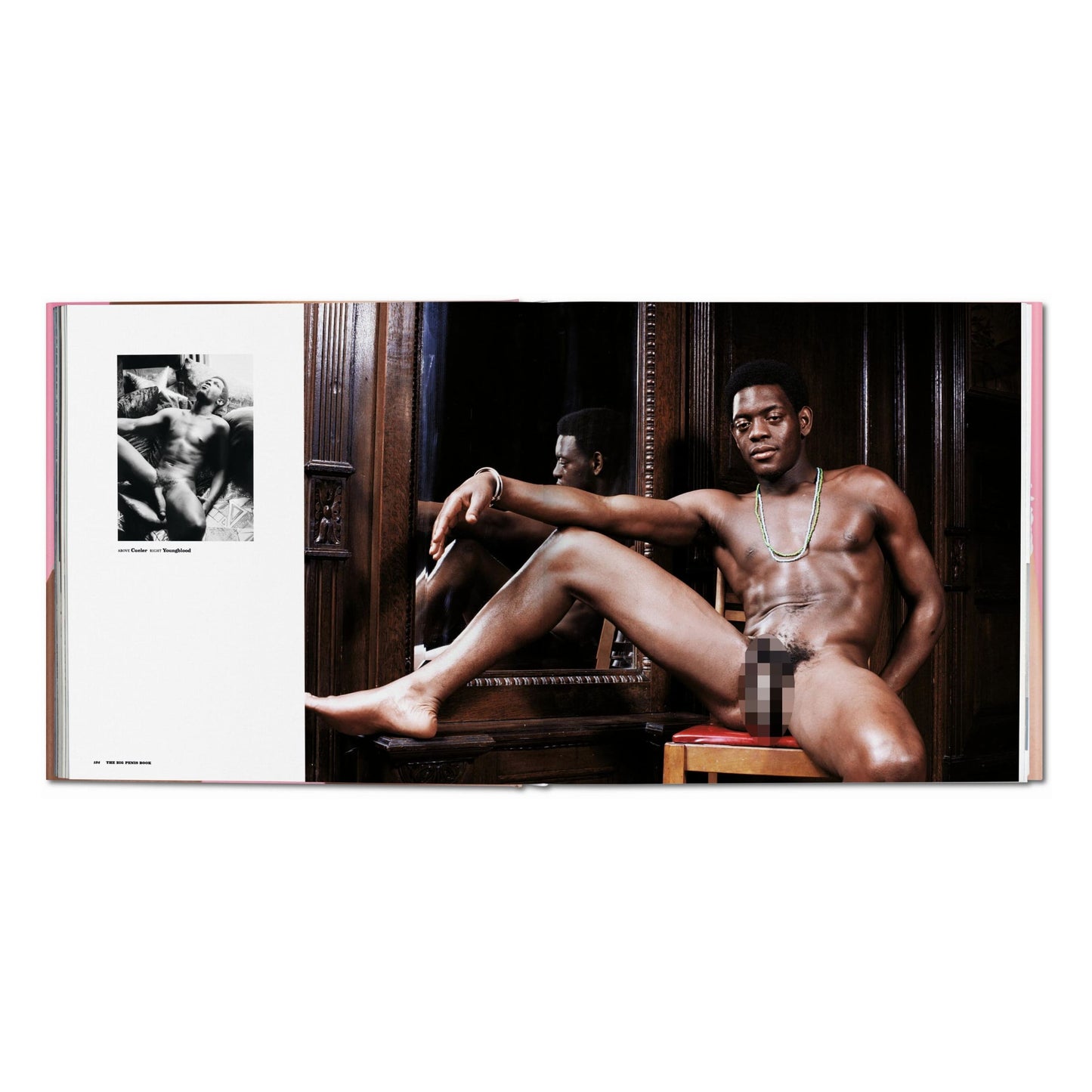 The Big Penis Book (German, French, English) Book