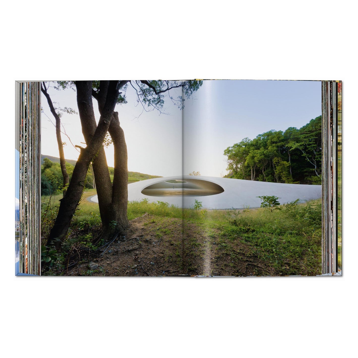 Contemporary Japanese Architecture. 45th Ed. (German, French, English) Book