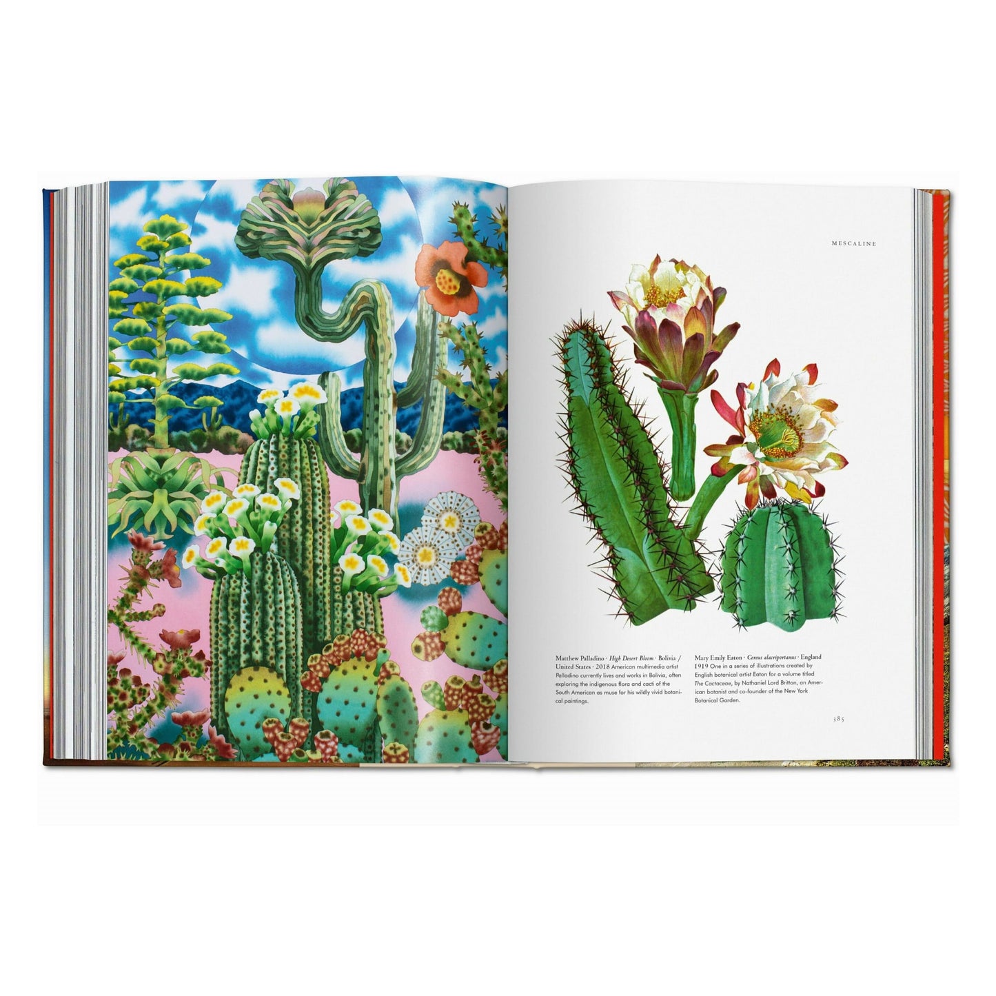 Plant Magick. The Library of Esoterica (English) Book