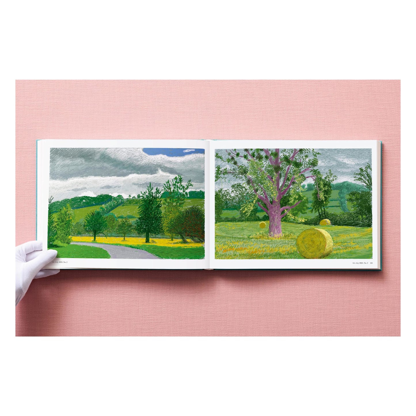 David Hockney. 220 for 2020 (English) Book