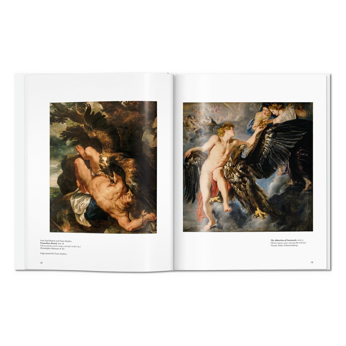 Rubens (English) Book