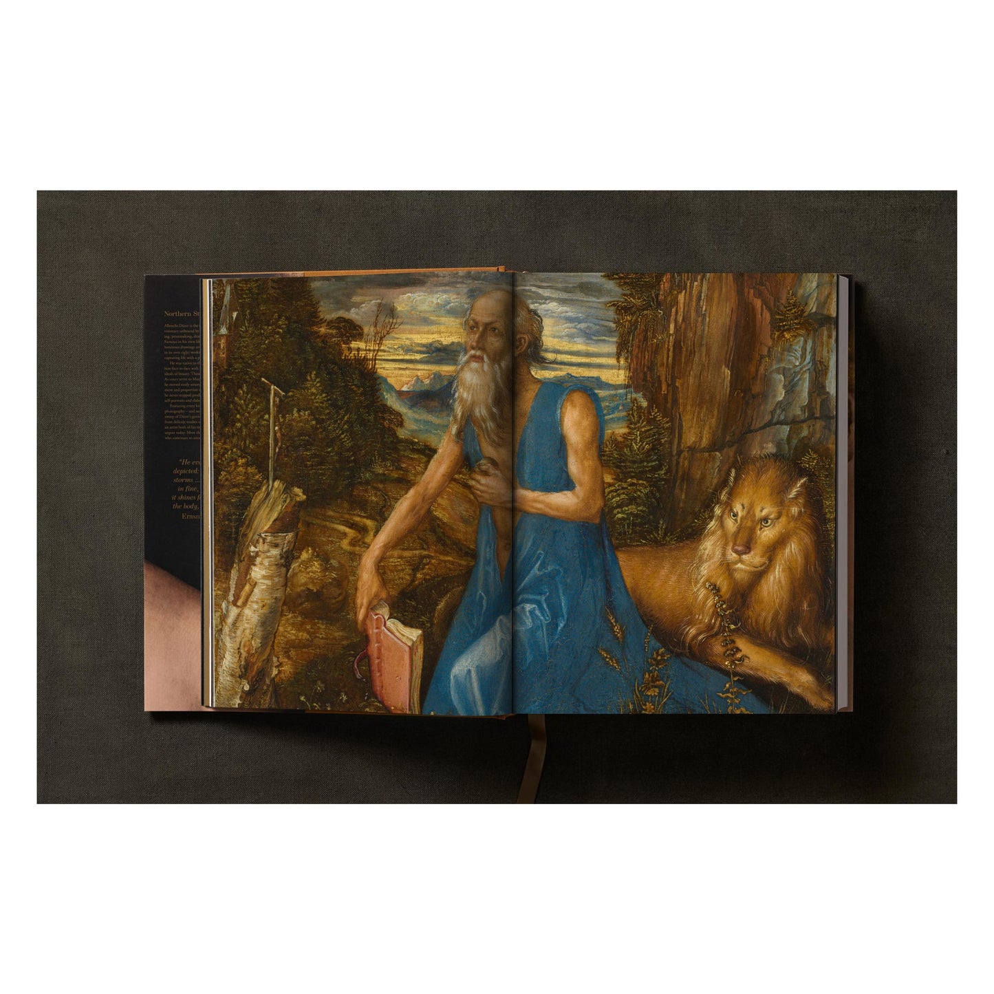 Albrecht Dürer. The Complete Paintings. Selected Drawings and Prints (English) Book