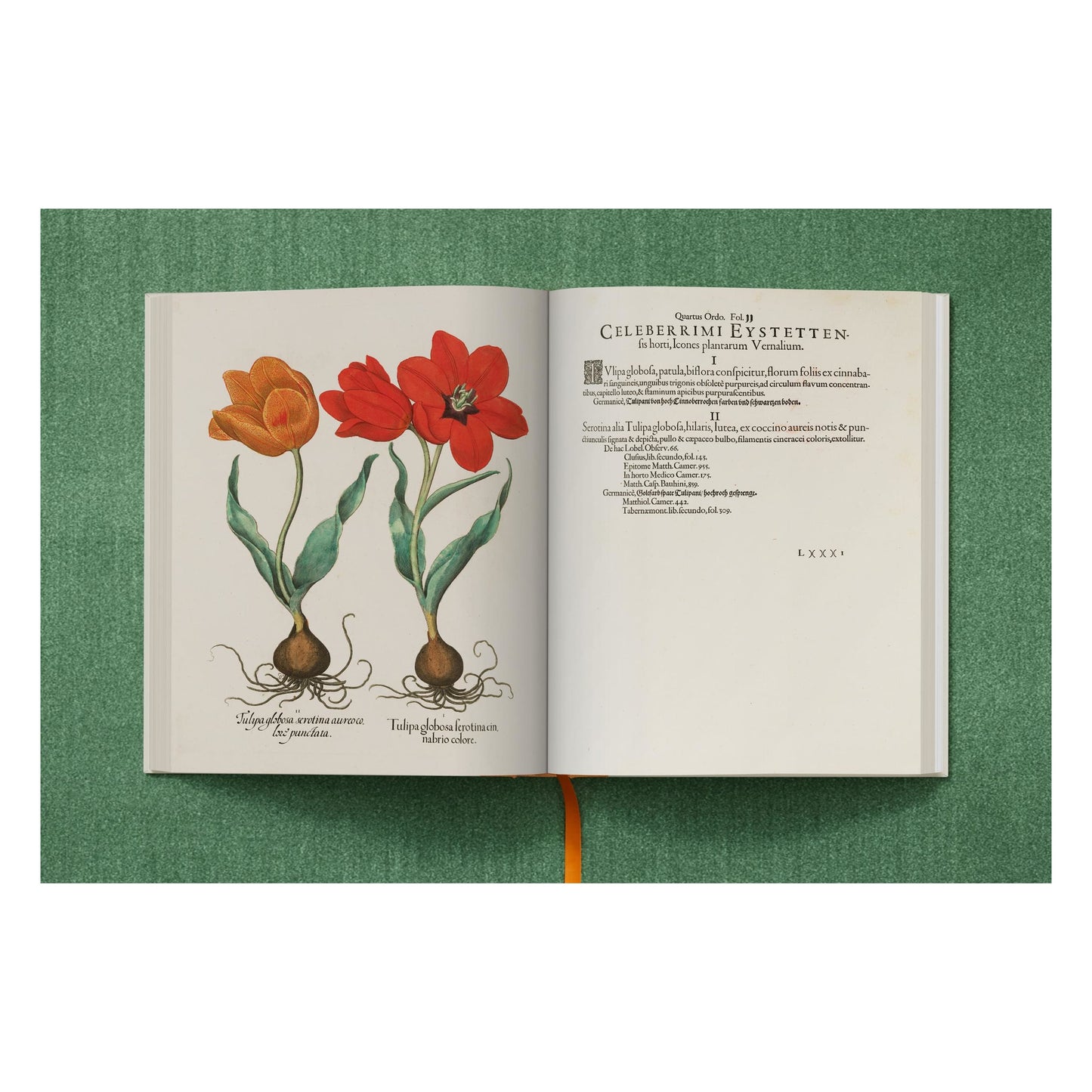 Basilius Besler. The Garden at Eichstätt (German, French, English) (FFE) Book