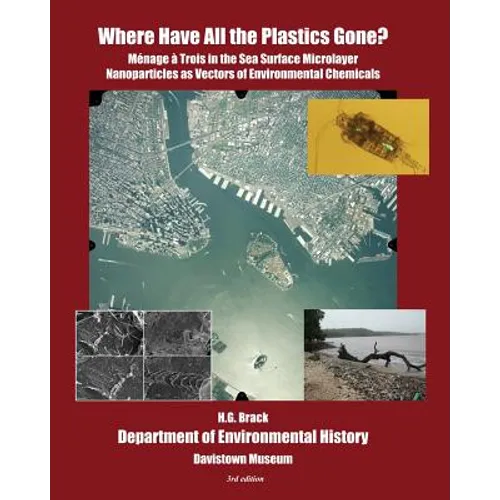 Where Have All the Plastics Gone?: Menage a Trois in the Sea Surface Microlayer: Nanoparticles as Vectors of Environmental Chemicals