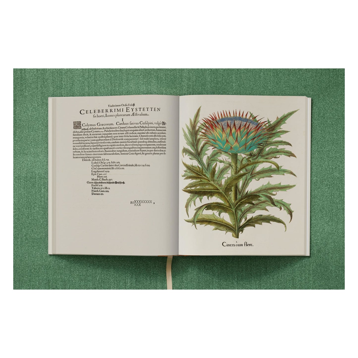 Basilius Besler. The Garden at Eichstätt (German, French, English) (FFE) Book