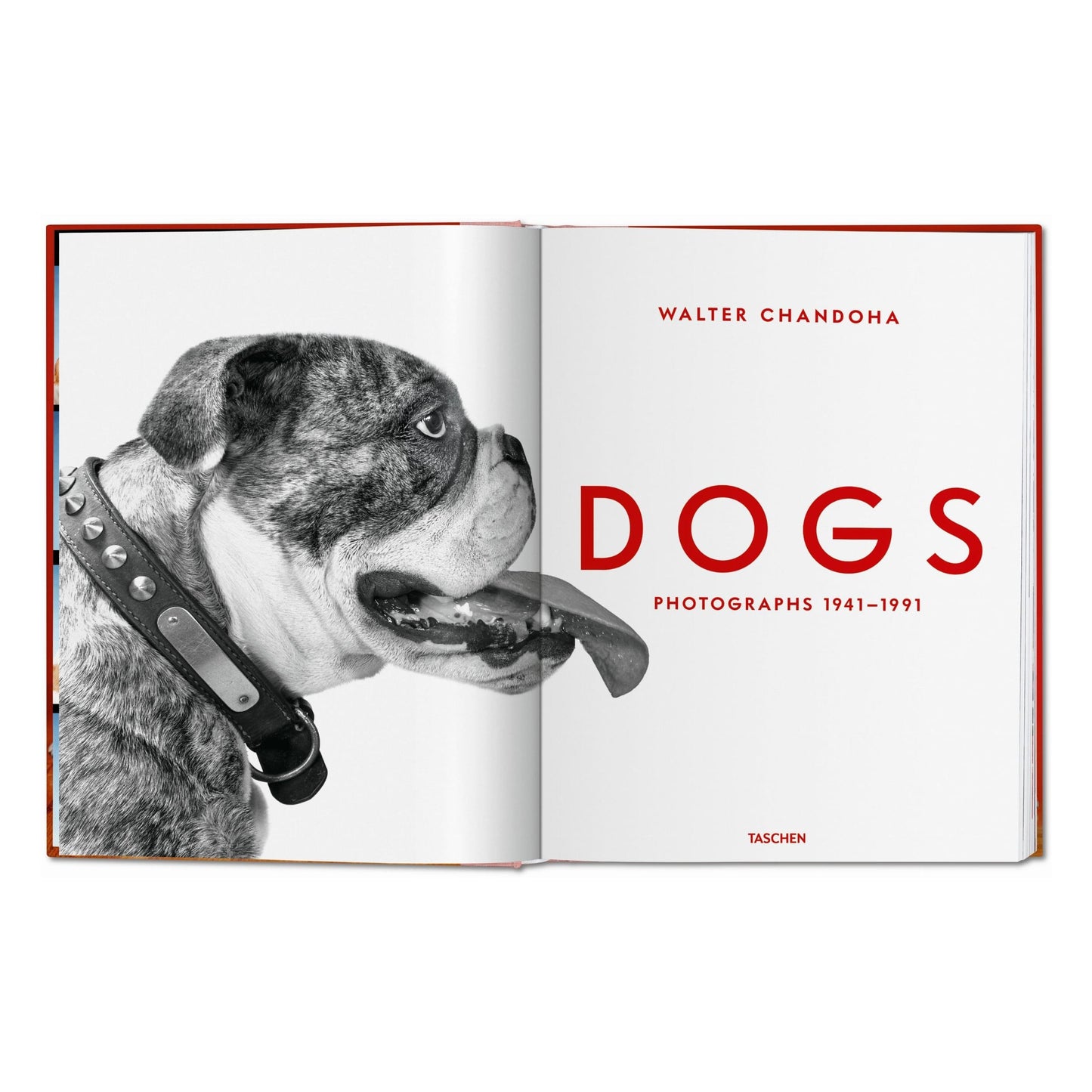 Walter Chandoha. Dogs. Photographs 1941–1991 (German, French, English) Book