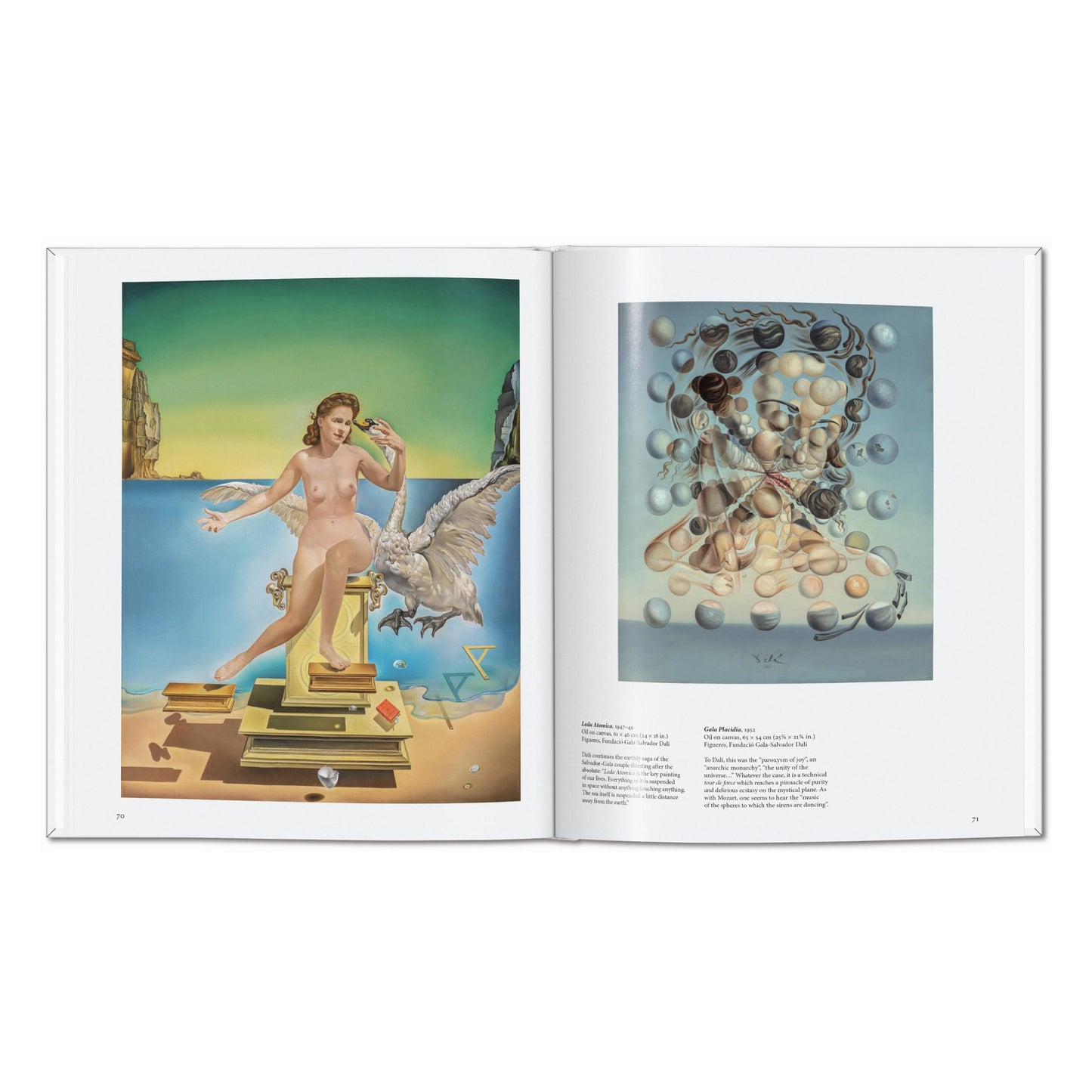 Dalí (English) Book