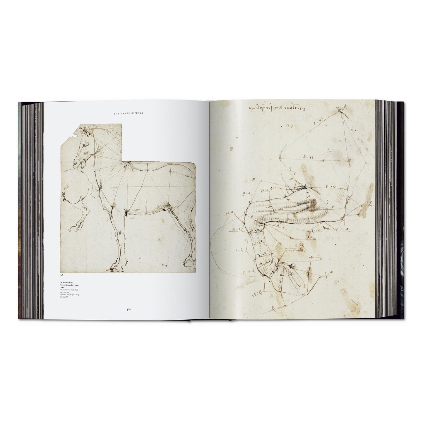 Leonardo. The Complete Paintings and Drawings (English) Book