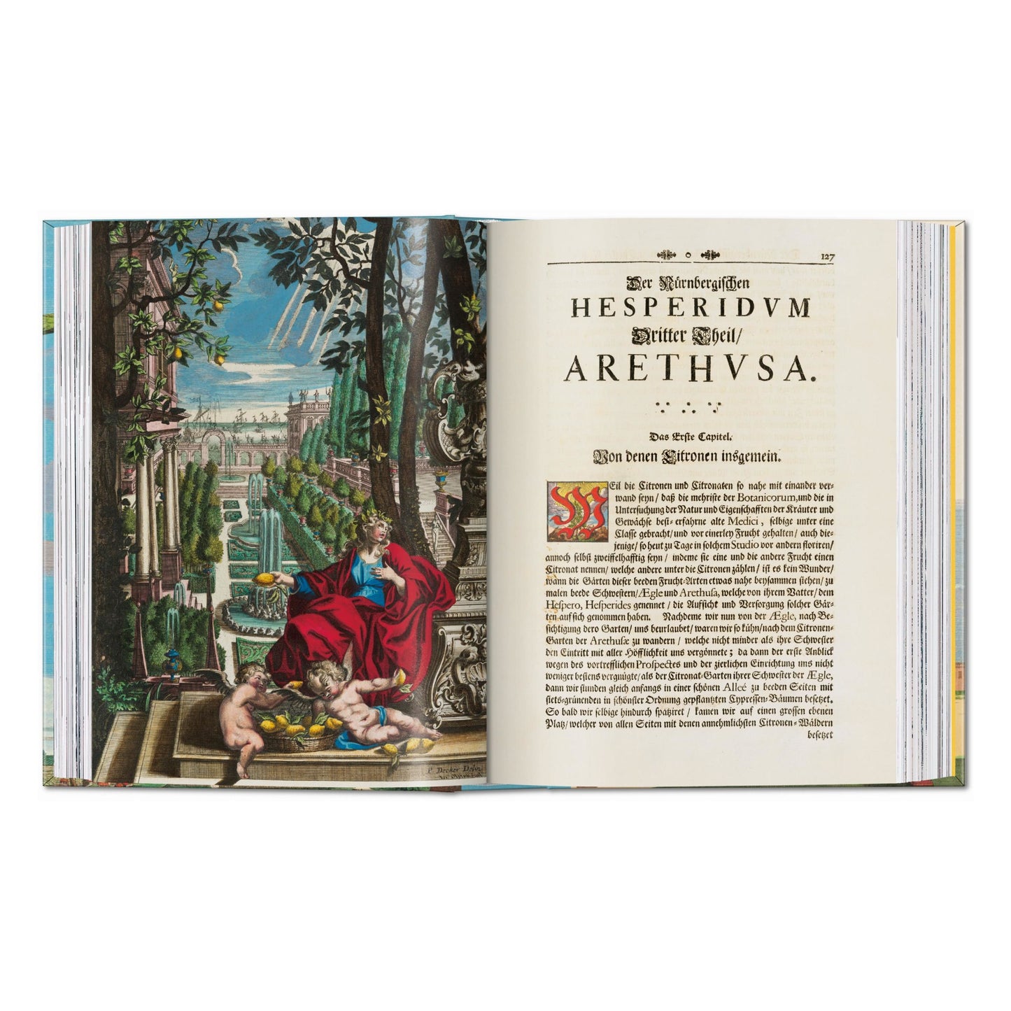 J. C. Volkamer. The Book of Citrus Fruits. 45th Ed. (German, French, English) Book