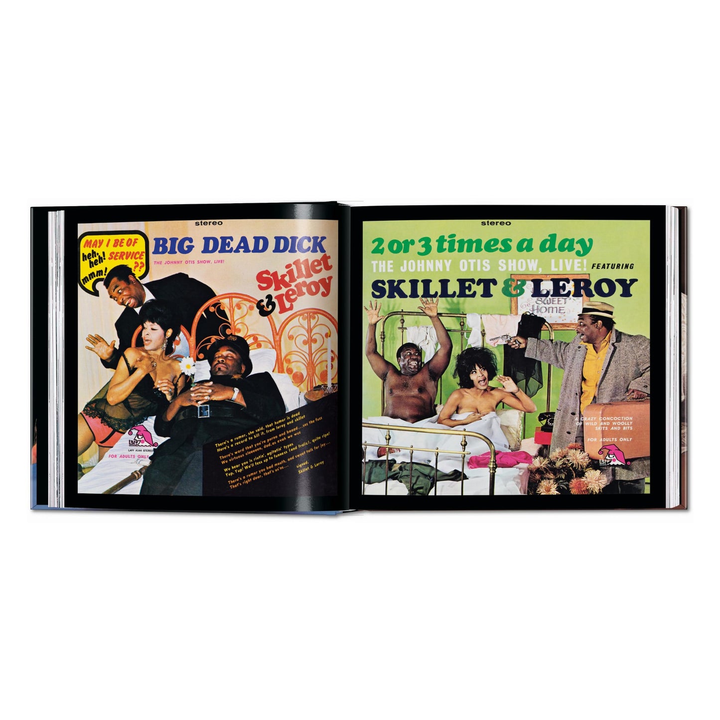 Sexy Record Covers (English) Book