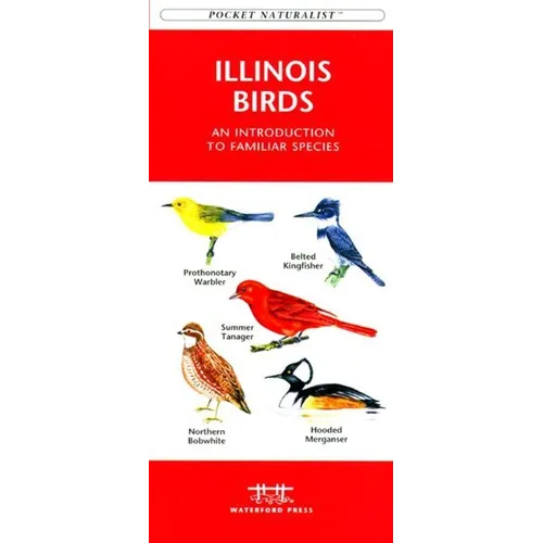 Indiana Birds: An Introduction to Familiar Species