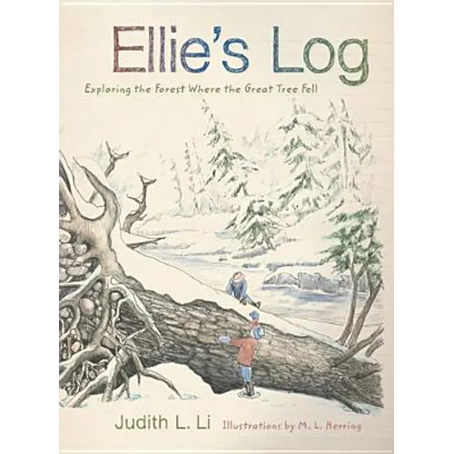 Ellie's Log: Exploring the Forest Where the Great Tree Fell