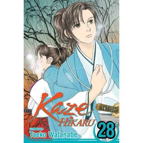 Kaze Hikaru, Vol. 28