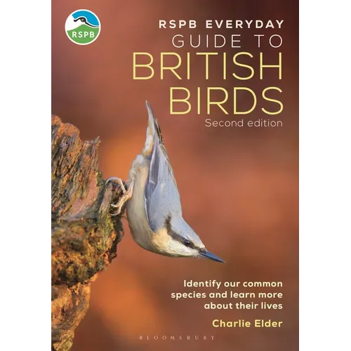 Rspb Everyday Guide to British Birds: Identify Our Common Species and Learn More about Their Lives