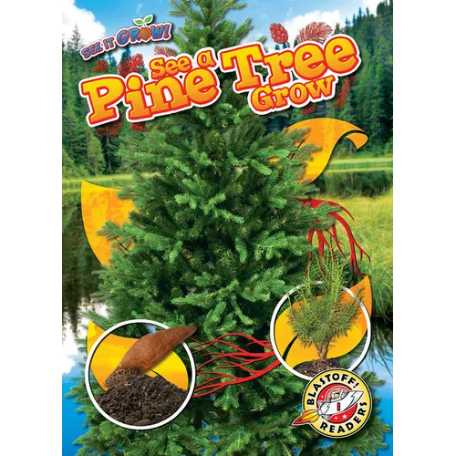 See a Pine Tree Grow