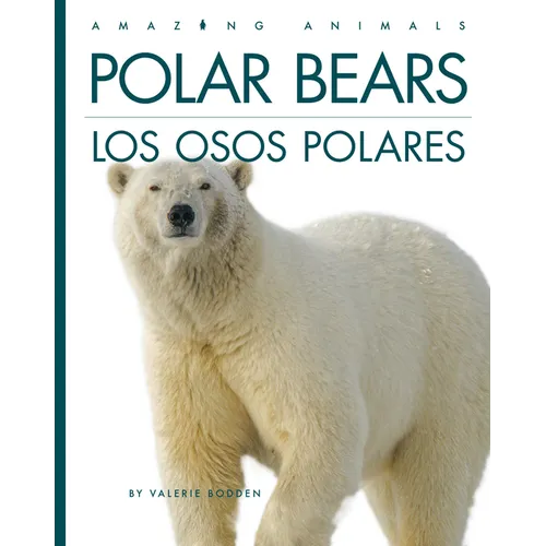 Polar Bears / Los Osos Polares: Bilingual Edition