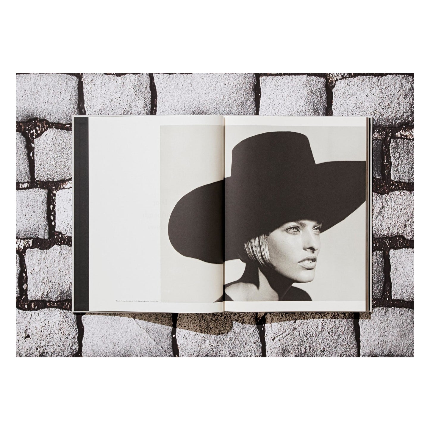 Peter Lindbergh. Dior (German, French, English) Book