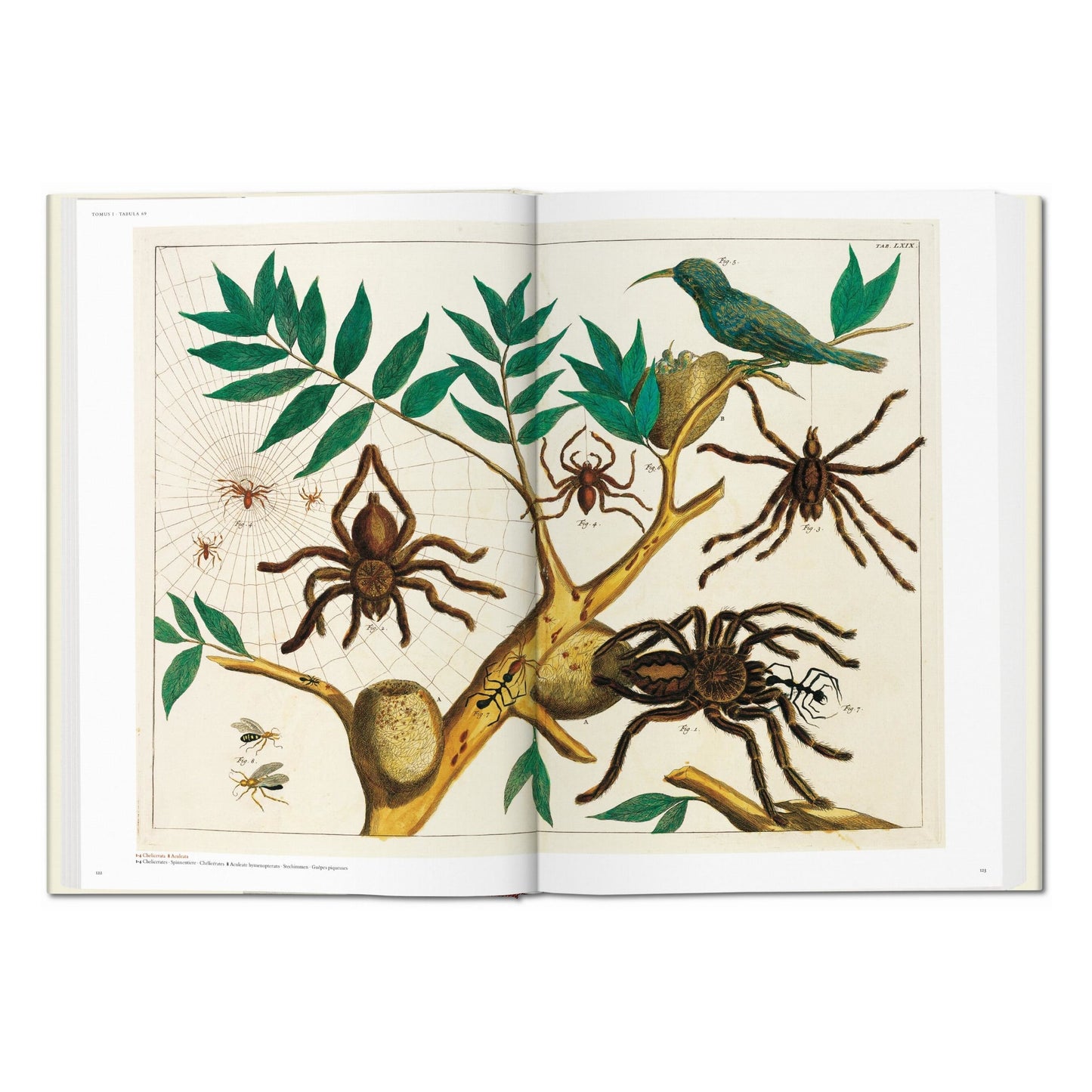 Seba. Cabinet of Natural Curiosities (German, French, English) Book