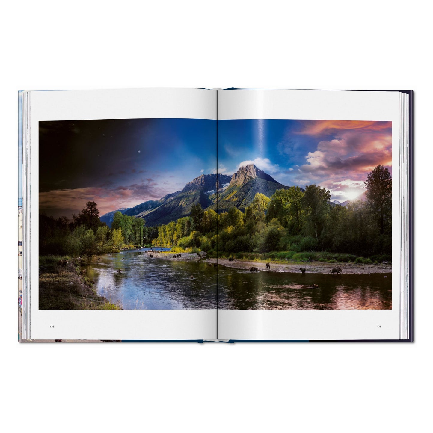 Stephen Wilkes. Day to Night (German, French, English) Book