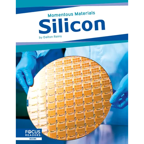 Silicon