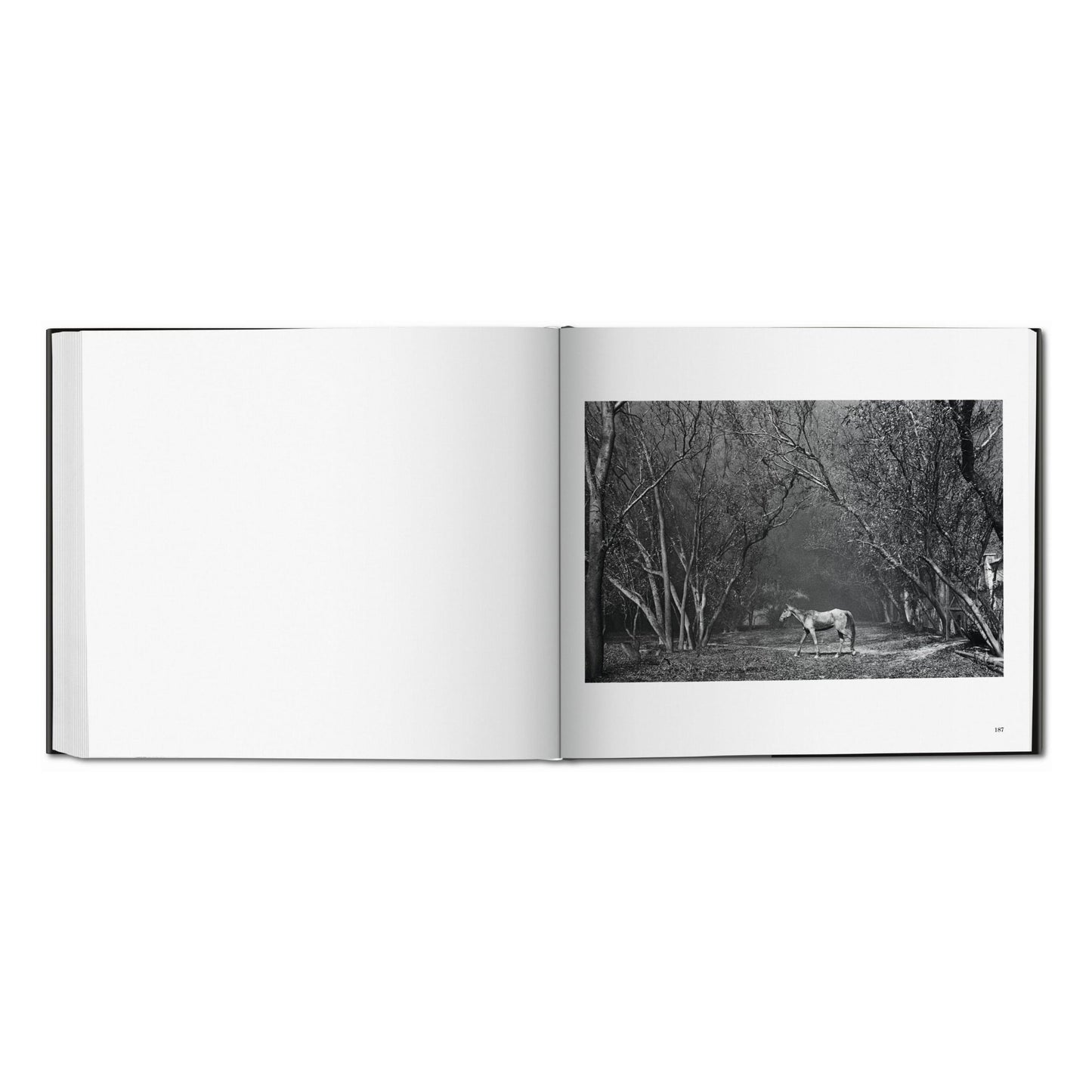 Sebastião Salgado. Kuwait. A Desert on Fire (German, French, English) Book