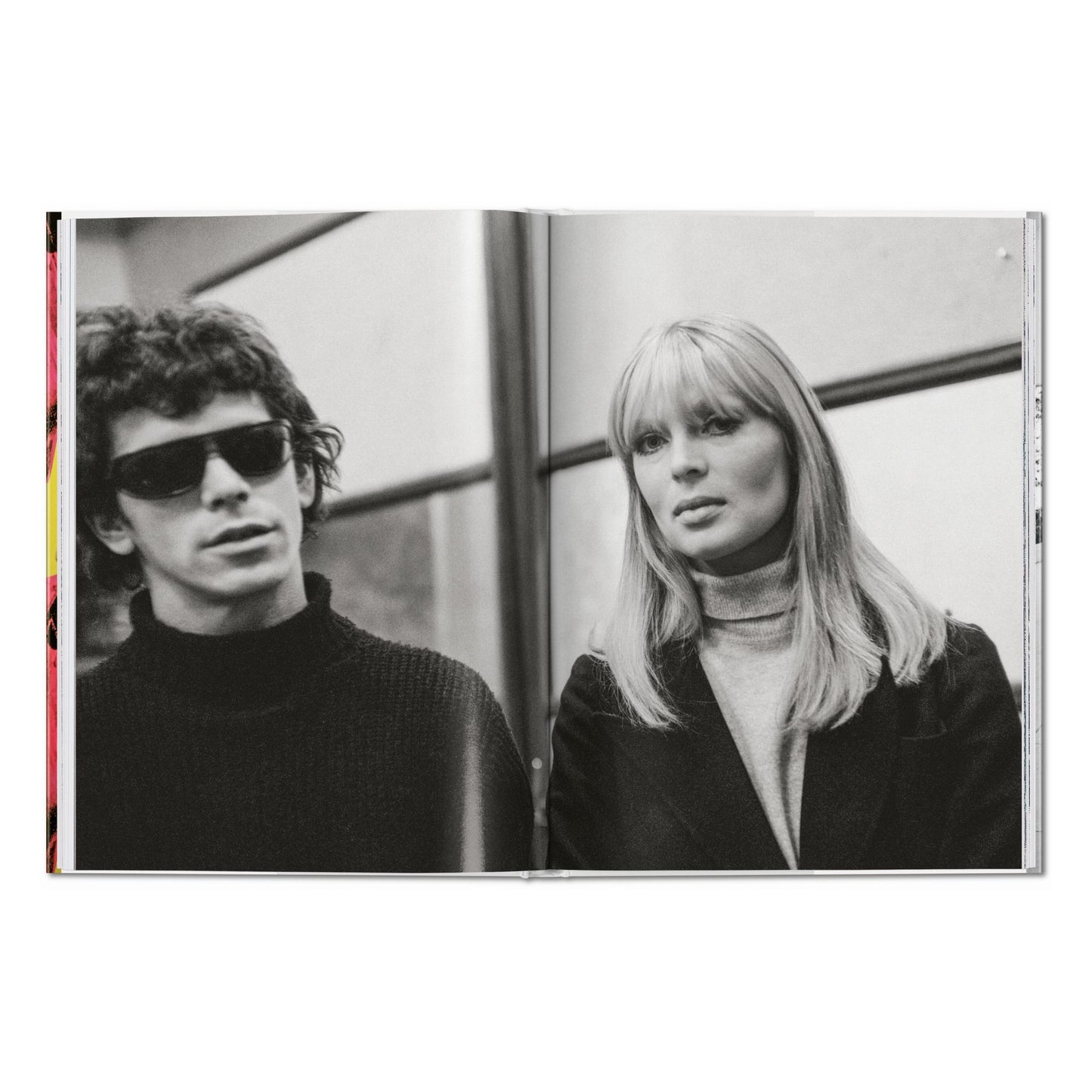 Steve Schapiro. Andy Warhol and Friends (English) Book