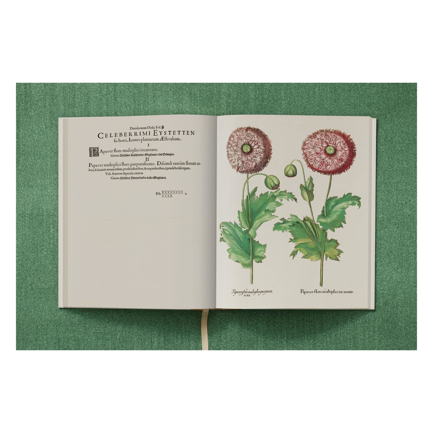 Basilius Besler. The Garden at Eichstätt (German, French, English) (FFE) Book