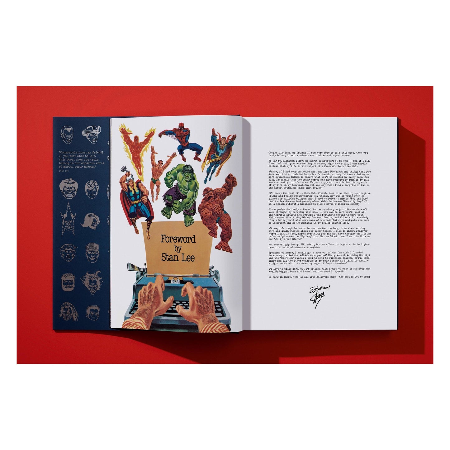 The Stan Lee Story (English) Book