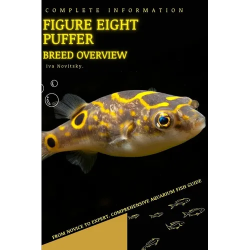 Figure eight puffer: From Novice to Expert. Comprehensive Aquarium Fish Guide