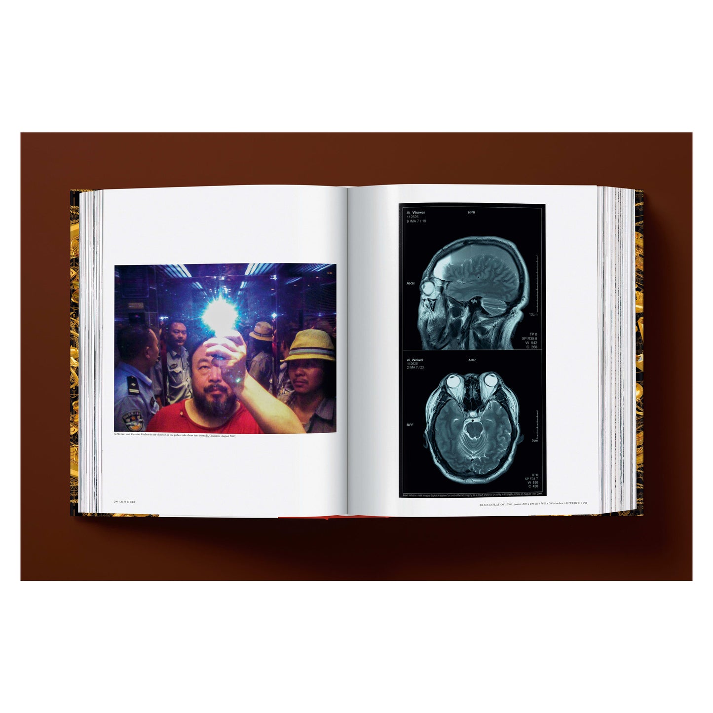 Ai Weiwei. Updated Edition (German, French, English) Book