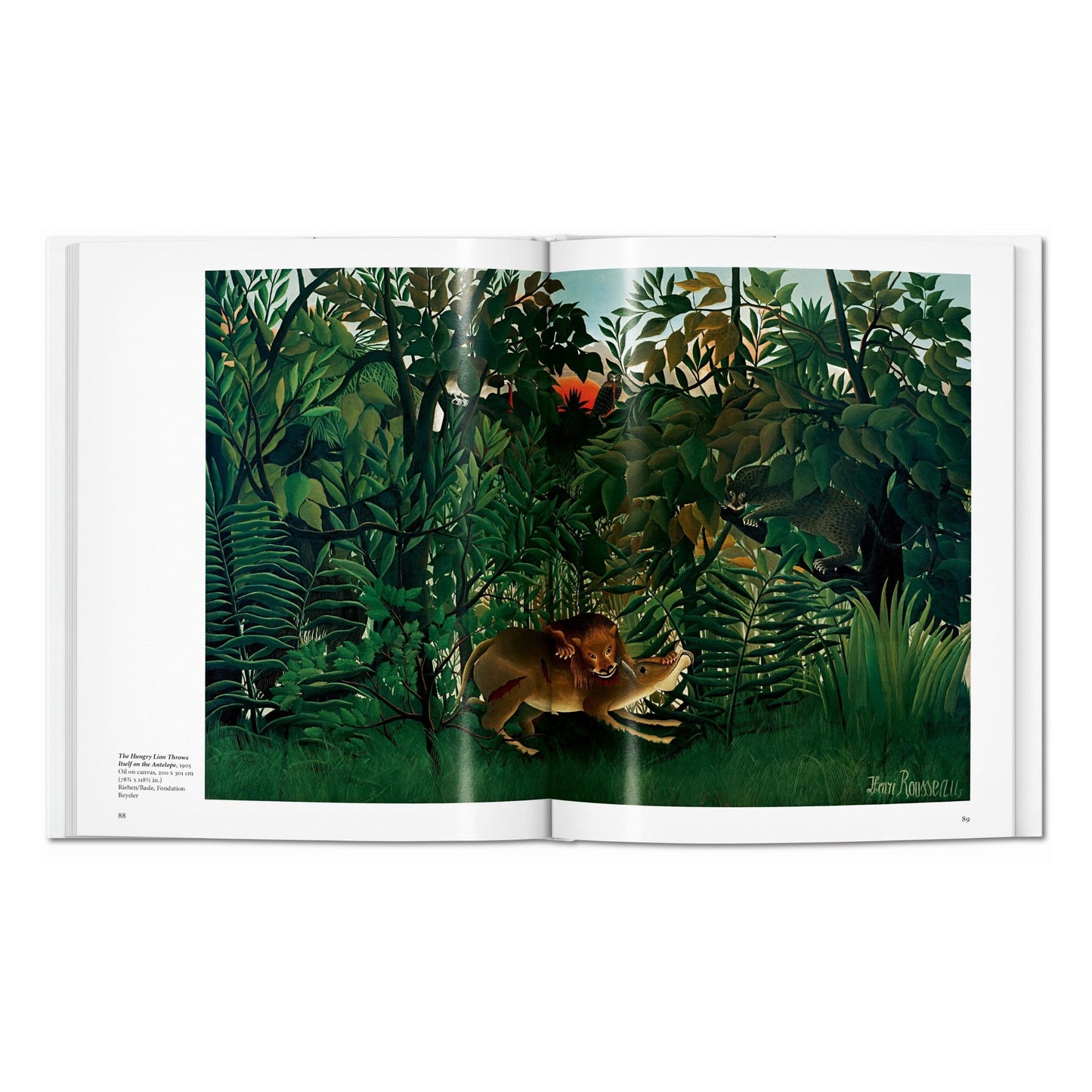 Rousseau (English) Book