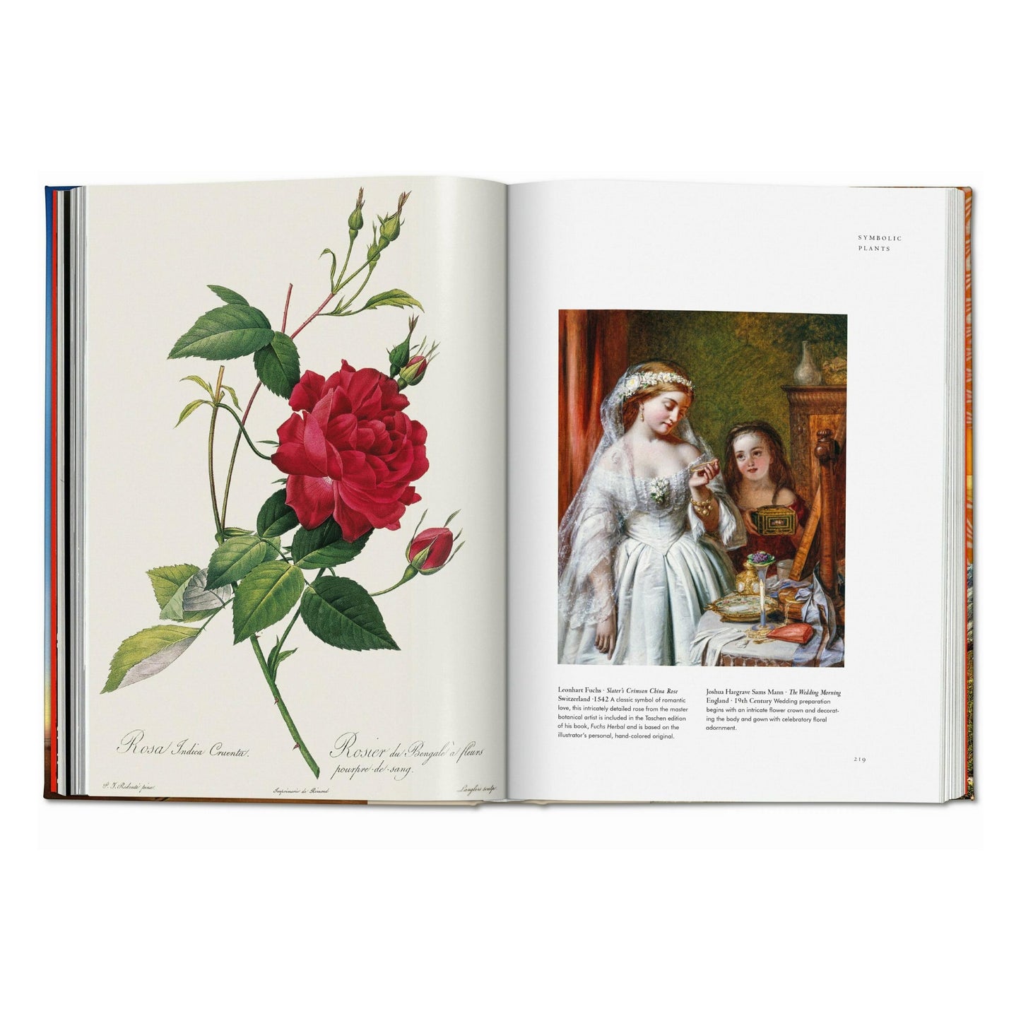 Plant Magick. The Library of Esoterica (English) Book