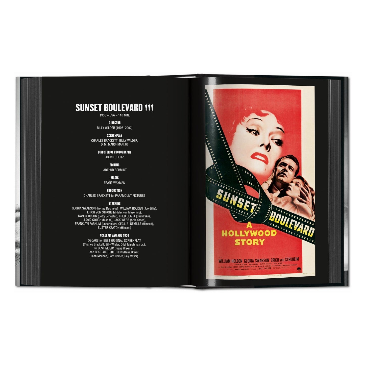 Film Noir (English) Book
