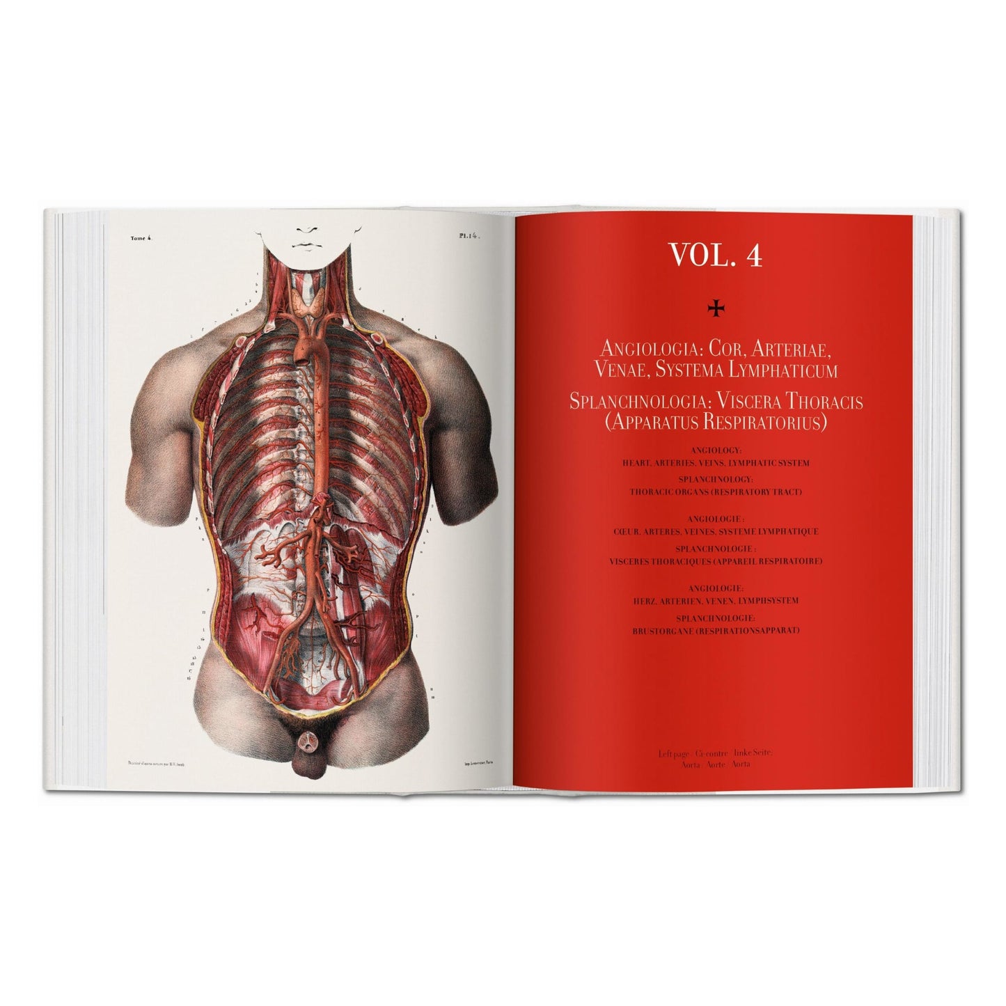 Bourgery. Atlas of Human Anatomy and Surgery (German, French, English) Book