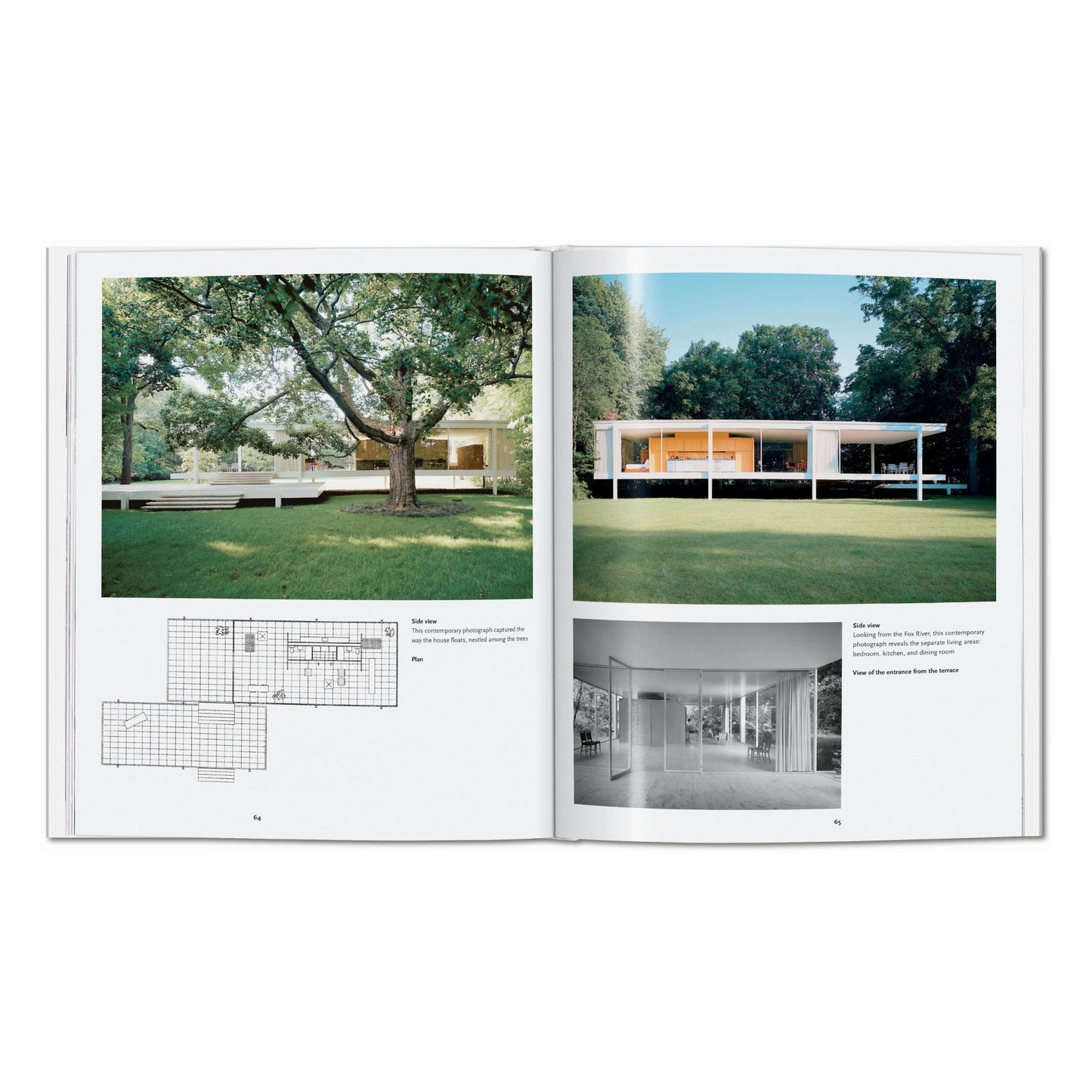 Mies van der Rohe (English) Book