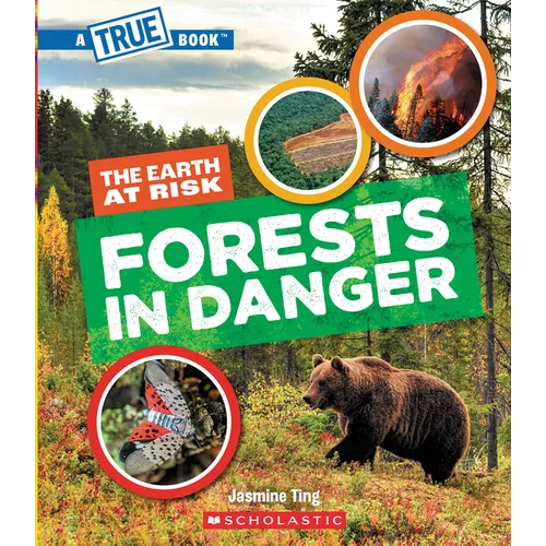 Forests in Danger (a True Book: The Earth at Risk)