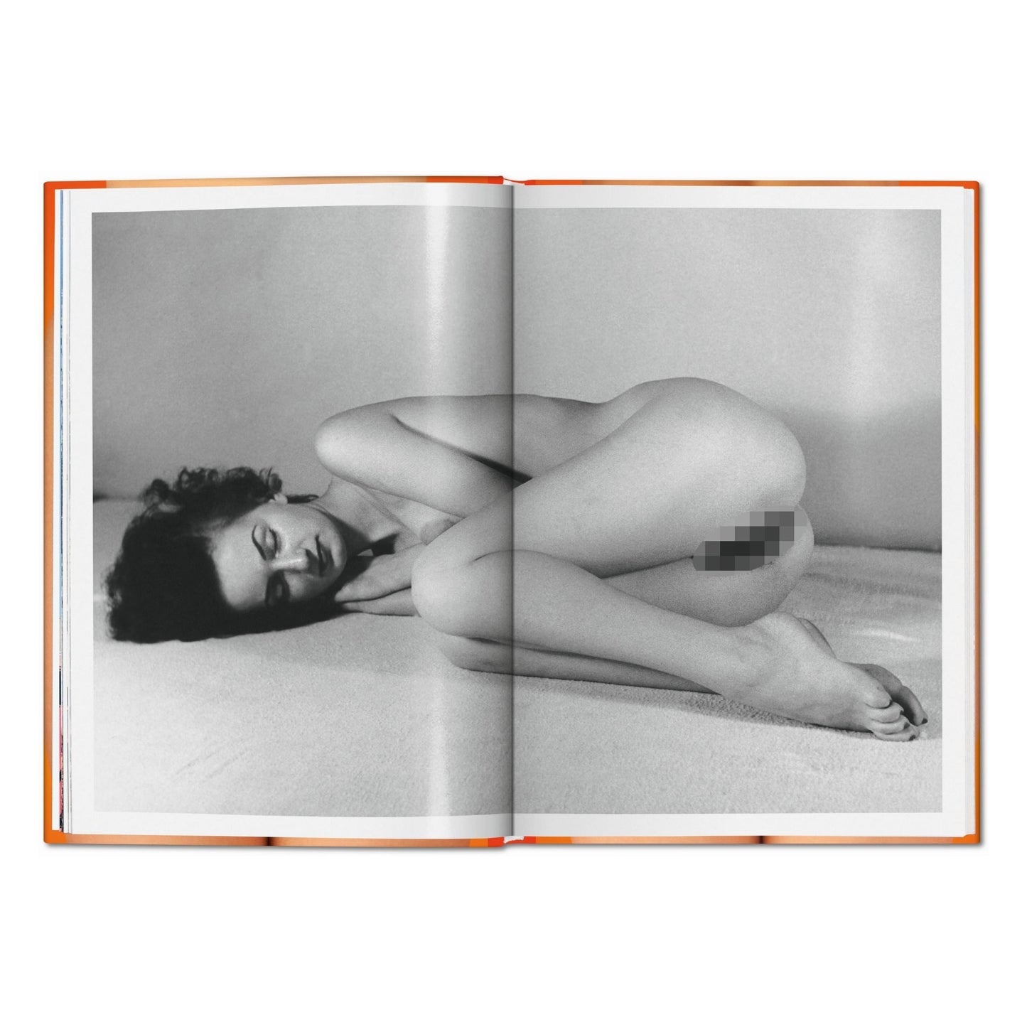 The Little Big Book of Pussy (German, French, English) Book